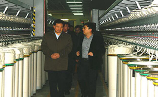 Qingdao Municipal Party Secretary Li Qun visited Shengmel Fiber Technology Co., LTD